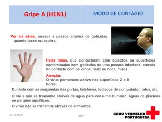 1918 - A " gripe espanhola " ou " gripe suína " foi uma pandemia causada por vírus da gripe tipo A. Estima-se que aprox. 20 a 40% da população mundial tenha adoecido e supõe-se que tenham morrido de 30 a 40 milhões de pessoas. 1957-58 - "Gripe asiática", uma pandemia provocada por vírus da gripe do tipo A (H2N2) e fez as suas primeiras vítimas na China. Esta pandemia originou mais de 1 milhão de mortos no mundo inteiro.08-09-2009GPC