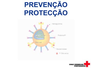 CASOS CONFIRMADOSPAISES INFECTADOS -  137NA EUROPA – 16.969FORA DA EUROPA – 122.597TOTAL DE CASOS –  139.566OBITOS - 781Fonte: OMS, ECDC, fontes oficiais dos países 21-07.0908-09-2009GPCVerificou-se, em Portugal, desde o início de Maio até 21 Julho 2009, um total cumulativo de 161 casos.