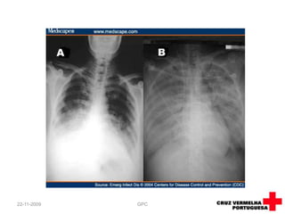 Artigos para bebés;