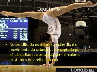 Equilíbrio




  • No sentido do equilíbrio,o estimulo é o
    movimento da cabeça,que é captado por
    células ciliadas dos canais semicirculares
    existentes na orelha interna.
Todos
 