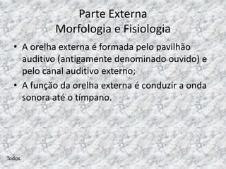 Parte Externa
           Morfologia e Fisiologia
  • A orelha externa é formada pelo pavilhão
    auditivo (antigamente denominado ouvido) e
    pelo canal auditivo externo;
  • A função da orelha externa é conduzir a onda
    sonora até o tímpano.




Todos.
 