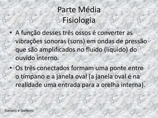 Parte Média
                      Fisiologia
  • A função desses três ossos é converter as
    vibrações sonoras (sons) em ondas de pressão
    que são amplificados no fluido (líquido) do
    ouvido interno.
  • Os três conectados formam uma ponte entre
    o tímpano e a janela oval (a janela oval é na
    realidade uma entrada para a orelha interna).


Daniela e Stefanni
 