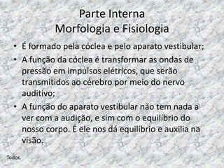 Parte Interna
             Morfologia e Fisiologia
  • É formado pela cóclea e pelo aparato vestibular;
  • A função da cóclea é transformar as ondas de
    pressão em impulsos elétricos, que serão
    transmitidos ao cérebro por meio do nervo
    auditivo;
  • A função do aparato vestibular não tem nada a
    ver com a audição, e sim com o equilíbrio do
    nosso corpo. É ele nos dá equilíbrio e auxilia na
    visão.
Todos.
 