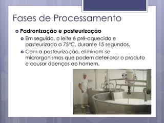 Fases de Processamento
 Padronização e pasteurização
 Em seguida, o leite é pré-aquecido e
pasteurizado a 75°C, durante 15 segundos.
 Com a pasteurização, eliminam-se
microrganismos que podem deteriorar o produto
e causar doenças ao homem.
 