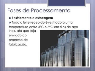 Fases de Processamento
 Resfriamento e estocagem
 Todo o leite recebido é resfriado a uma
temperatura entre 3°C e 5°C em silos de aço
inox, até que seja
enviado ao
processo de
fabricação.
 