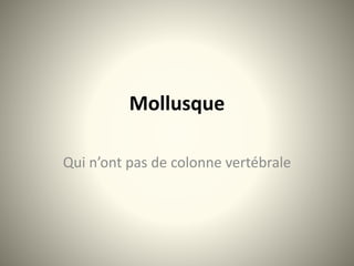 Mollusque
Qui n’ont pas de colonne vertébrale
 