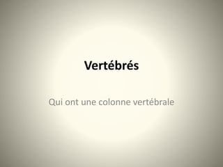 Vertébrés
Qui ont une colonne vertébrale
 