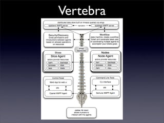 Vertebra