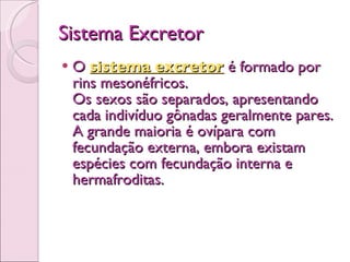 Sistema Excretor O  sistema excretor  é formado por rins mesonéfricos. Os sexos são separados, apresentando cada indivíduo gônadas geralmente pares. A grande maioria é ovípara com fecundação externa, embora existam espécies com fecundação interna e hermafroditas.   