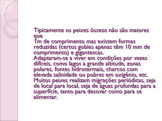 Tipicamente os peixes ósseos não são maiores que 1 m de comprimento mas existem formas reduzidas (certos gobies apenas têm 10 mm de comprimento) e gigantescas. Adaptaram-se a viver em condições por vezes difíceis, como lagos a grande altitude, zonas polares, fontes hidrotermais, charcos com elevada salinidade ou pobres em oxigênio, etc. Muitos peixes realizam migrações periódicas, seja de local para local, seja de águas profundas para a superfície, tanto para desovar como para se alimentar. 