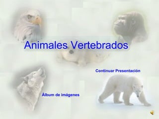 Continuar   Presentación Animales Vertebrados Álbum de imágenes   