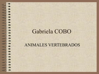 Gabriela COBO ANIMALES VERTEBRADOS 