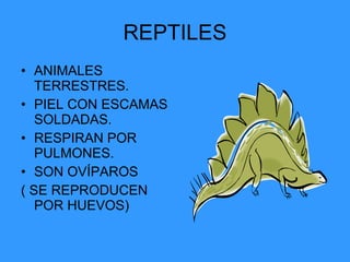 REPTILES ANIMALES TERRESTRES. PIEL CON ESCAMAS SOLDADAS. RESPIRAN POR PULMONES. SON OVÍPAROS  ( SE REPRODUCEN POR HUEVOS) 