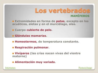 Los vertebrados
MAMÍFEROS
 Extremidades en forma de patas, excepto en los
acuáticos, aletas y en el murciélago, alas.
 Cuerpo cubierto de pelo.
 Glándulas mamarias.
 Homeotermos, de temperatura constante.
 Respiración pulmonar.
 Vivíparos (las crías nacen vivas del vientre
materno)
 Alimentación muy variada.
PiensoyJuegoInternenes
 