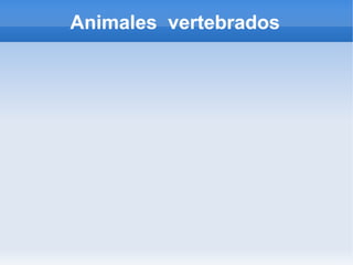 Animales vertebrados
 