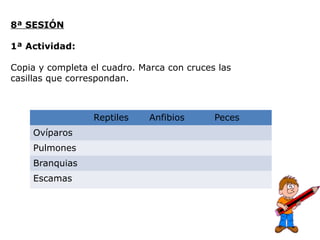 Reptiles Anfibios Peces
Ovíparos
Pulmones
Branquias
Escamas
8ª SESIÓN
1ª Actividad:
Copia y completa el cuadro. Marca con cruces las
casillas que correspondan.
 