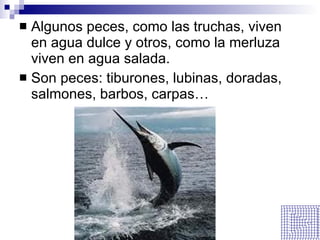 Algunos peces, como las truchas, viven en agua dulce y otros, como la merluza viven en agua salada. Son peces: tiburones, lubinas, doradas, salmones, barbos, carpas… 