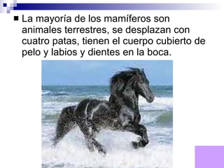 La mayoría de los mamíferos son animales terrestres, se desplazan con cuatro patas, tienen el cuerpo cubierto de pelo y labios y dientes en la boca.  