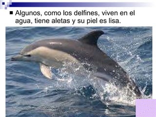 Algunos, como los delfines, viven en el agua, tiene aletas y su piel es lisa. 