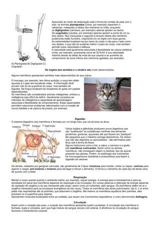 Associado ao modo de deslocação está a forma de contato da pata com o
                                    solo: os animais plantígrados (ursos, por exemplo) assentam o
                                    calcanhar, metapódio e dedos dos membros no chão, enquanto
                                    os digitígrados (canídeos, por exemplo) apenas apóiam os dedos.
                                    Os ungulados (cavalos, por exemplo) apenas apóiam a ponta de um ou
                                    dois dedos. Nos marsupiais o segundo e terceiro dedos dos membros
                                    posteriores estão fundidos, originando um só dígito com duas garras.
                                    As extremidades localizam-se por baixo do corpo e não para o lado como
                                    nos répteis, o que não só sustenta melhor o peso do corpo, mas também
                                    permite maior velocidade e reflexos.
                                    A velocidade está igualmente associada à flexibilidade da coluna vertebral
                                    (chita, por exemplo, acrescenta cerca de 30 Km/h à sua velocidade
                                    máxima devido ao efeito de mola da sua coluna) e ao aumento do
                                    comprimento da zona inferior dos membros (gazelas, por exemplo).

A) Plantígrado B) Digitígrado C)
Ungulado.
                               Os órgãos dos sentidos e o cérebro são muito desenvolvidos.

Alguns mamíferos apresentam sentidos mais desenvolvidos do que outros.

O morcego, por exemplo, tem ótima audição; a onça tem olfato
apurado e o gato tem excelente visão. A informação táctil
provém não só da superfície do corpo, mas também de
bigodes. Na língua localizam-se receptores do gosto em papilas
especializadas.
Os mamíferos são considerados animais inteligentes, embora a
inteligência seja difícil de definir. Geralmente considera-se
indicador de inteligência a capacidade de aprendizagem
associada a flexibilidade de comportamento. Estas capacidades
permitem solucionar problemas relacionados com a invasão de
novos habitats e de captura de presas, por exemplo.



                                                        Digestão
O sistema digestório dos mamíferos é formado por um longo tubo que vai da boca ao ânus.

                                                Vários órgãos e glândulas produzem sucos digestivos que
                                                vão "quebrando" as substâncias nutritivas dos alimentos
                                                (proteínas, gorduras, açucares) até que fiquem em "pedaços"
                                                tão pequenos que o intestino consiga absorvê-los. Os restos -
                                                que não são digeridos ou aproveitados - são eliminados pelo
                                                ânus sob a forma de fezes.
                                                Alguns herbívoros como o boi, a cabra, o carneiro e a girafa
                                                são mamíferos ruminantes. Assim como os demais
                                                mamíferos, não conseguem digerir a celulose, tipo de açúcar
                                                presente nas plantas. Porém, no estômago dos ruminantes
                                                há microorganismos (bactérias e protozoários) que fazem a
                                                digestão da celulose.

Os dentes, rodeados por gengivas carnudas, são geralmente de 3 tipos (incisivos para morder, cortar ou raspar, caninos para
agarrar e rasgar, pré-molares e molares para esmagar e triturar o alimento). A forma e o tamanho de cada tipo de dente varia
de acordo com a dieta.

                                                         Respiração
Manter o corpo quente quando o ambiente resfria, por exemplo, requer energia. A energia para a homeotermia e para as
atividades em geral dos mamíferos depende da respiração e da circulação. Em outras palavras a obtenção de energia depende
da captação de oxigênio e do seu transporte pelo corpo, assim como os nutrientes, pelo sangue. Os mamíferos obtêm do ar o
oxigênio necessário para os processos energéticos do seu corpo. Todos os mamíferos são seres pulmonados, isto é, o ar entra
pelas vias respiratórias até os pulmões, que absorvem o oxigênio. Até mesmo os mamíferos aquáticos têm pulmões, eles
precisam vir à superfície para respirar.
Apresentam músculos localizados entre as costelas, que atuam nos movimentos respiratórios, e outro denominado diafragma.

                                                       Circulação
Assim como o coração das aves, o coração dos mamíferos apresenta quatro cavidades. A circulação dos mamíferos é
fechada, dupla e completa, sem que haja mistura de sangue venoso com arterial. A eficiência na circulação do sangue
favorece a homeotermia corporal.
 