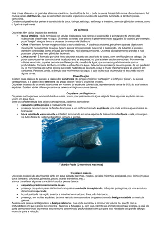 Nas zonas abissais - os grandes abismos oceânicos, destituídos de luz -, onde os seres fotossintetizantes não sobrevivem, há
muitos peixes detritívoros, que se alimentam de restos orgânicos oriundos da superfície iluminada, e também peixes
carnívoros.
O sistema digestório dos peixes é constituído de boca, faringe, esôfago, estômago e intestino, além de glândulas anexas, como
o fígado e o pâncreas.

                                                          Os sentidos
Os peixes têm vários órgãos dos sentidos
      Bolsa olfatória - São formadas por células localizadas nas narinas e associadas à percepção de cheiros das
          substâncias dissolvidas na água. O sentido do olfato dos peixes é geralmente muito aguçado. O tubarão, por exemplo,
          pode "farejar" sangue fresco a dezenas de metros de distância.
      Olhos - Permitem formar imagens nítidas a curta distância. A distâncias maiores, percebem apenas objetos em
          movimento na superfície da água. Alguns peixes têm percepção das cores e outros não. Os tubarões e as raias
          (também conhecidas como arraias), por exemplo, não distinguem cores. Os olhos são geralmente grandes e não
          possuem pálpebras nem glândulas lacrimais.
      Linha lateral - É formada por uma fileira de poros situada de cada lado do corpo, com ramificações na cabeça. Os
          poros comunicam-se com um canal localizado sob as escamas, no qual existem células sensoriais. Por meio das
          células sensoriais, o peixe percebe as diferenças de pressão da água, que aumenta gradativamente com a
          profundidade. Percebe também correntes e vibrações na água, detectando a presença de uma presa, de um predador
          ou os movimentos de outros peixes que estão nadando ao seu lado, o que é muito importante para as viagens em
          cardumes. Percebe, ainda, a direção dos movimentos da água, o que facilita sua locomoção na escuridão ou em
          águas turvas.
                                                          Classificação
Existem duas classes de peixes: a classe dos condrictes (do grego khondros: 'cartilagem'; e ichthyes: 'peixe'), ou peixes
cartilaginosos, e a classe dos osteíctes (do grego osteon: 'osso'), ou peixes ósseos.
Os peixes ósseos são os mais abundantes em número de espécies conhecidas, representando cerca de 95% do total dessas
espécies. Existem várias diferenças entre os peixes cartilaginosos e os ósseos.

                                                    Os peixes cartilaginosos
Os peixes cartilaginosos, como o tubarão e a raia, vivem principalmente em água salgada. Mas algumas espécies de raia
vivem em água doce.
Entre as características dos peixes cartilaginosos, podemos considerar:
     esqueleto cartilaginoso e relativamente leve;
     presença de cinco pares de fendas branquiais e um orifício chamado espiráculo, por onde entra a água e banha as
         brânquias;
     boca localizada ventralmente e intestino terminando em uma espécie de bolsa chamadacloaca - nela, convergem
         os dutos finais do sistema digestório, urinário e genital.




                                          Tubarão-Frade (Cetorhinus maximus)


                                                     Os peixes ósseos
Os peixes ósseos são abundantes tanto em água salgada (tainhas, robalos, cavalos-marinhos, pescadas, etc.) como em água
doce (lambaris, dourados, pintados, pacus, acarás-bandeiras, etc.).
Vamos considerar algumas características dos peixes ósseos:
     esqueleto predominantemente ósseo;
     presença de quatro pares de fendas branquiais e ausência de espiráculo, brânquias protegidas por uma estrutura
         denominada opérculo;
     boca localizada na região anterior e intestino terminado no ânus, não há cloaca;
     presença, em muitas espécies, de uma vesícula armazenadora de gases chamada bexiga natatória ou vesícula
         gasosa.
Ausente nos peixes cartilaginosos, a bexiga natatória - que pode aumentar e diminuir de volume de acordo com a
profundidade em que o peixe se encontra - favorece a flutuação e, com isso, permite ao animal economizar energia, já que ele
pode permanecer mais ou menos estável numa determinada profundidade sem que para isso necessite de grande esforço
muscular para a natação.
 
