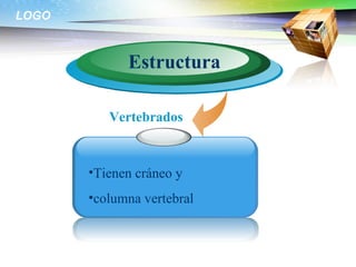 LOGO



             Estructura

          Vertebrados


       •Tienen cráneo y
       •columna vertebral
 