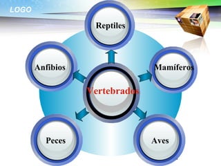 LOGO

                   Reptiles



       Anfibios                 Mamíferos

                  Vertebrados




         Peces                  Aves
 