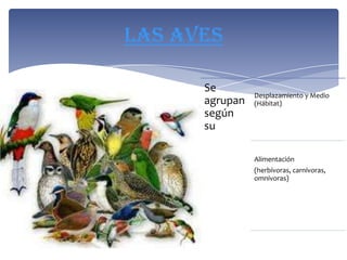 Las Aves

      Se
      agrupan Desplazamiento y
      según   Medio (Hábitat)
      su


              Alimentación
              (herbívoras, carní
              voras, omnívoras
              )
 