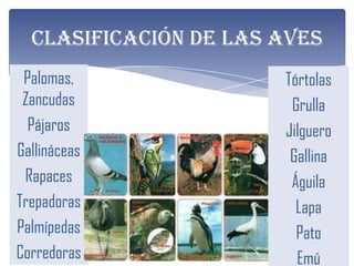 Clasificación de las aves
Palomas, Za            Tórtolas
  ncudas                Grulla
  Pájaros              Jilguero
Gallináceas             Gallina
 Rapaces                Águila
Trepadoras               Lapa
Palmípedas               Pato
Corredoras               Emú
 