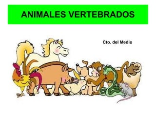 ANIMALES VERTEBRADOS


              Cto. del Medio
 