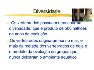 Diversidade  Os vertebrados possuem uma enorme diversidade, que é produto de 500 milhões de anos de evolução. Os vertebrados originaram-se no mar, e mais da metade dos vertebrados de hoje é o produto da evolução de grupos que nunca deixaram o ambiente aquático. 