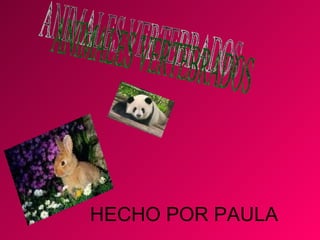 HECHO POR PAULA ANIMALES VERTEBRADOS 