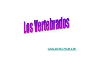 www.areaciencias.com
 