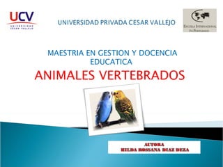 MAESTRIA EN GESTION Y DOCENCIA EDUCATICA  ANIMALES VERTEBRADOS 