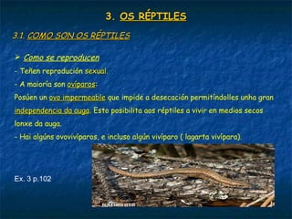 3.3. OS RÉPTILESOS RÉPTILES
3.1.3.1. COMO SON OS RÉPTILESCOMO SON OS RÉPTILES
 Como se reproducen
- Teñen reprodución sexualsexual.
- A maioría son ovíparosovíparos:
Posúen un ovo impermeableovo impermeable que impide a desecación permitíndolles unha gran
independencia da augaindependencia da auga. Esto posibilita aos réptiles a vivir en medios secos
lonxe da auga.
- Hai algúns ovovivíparos, e incluso algún vivíparo ( lagarta vivípara).
Ex. 3 p.102
 