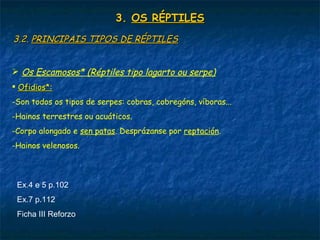 3.3. OS RÉPTILESOS RÉPTILES
3.2.3.2. PRINCIPAIS TIPOS DE RÉPTILESPRINCIPAIS TIPOS DE RÉPTILES
 Os Escamosos* (Réptiles tipo lagarto ou serpe)
 Ofidios*:Ofidios*:
-Son todos os tipos de serpes: cobras, cobregóns, víboras...
-Hainos terrestres ou acuáticos.
-Corpo alongado e sen patas. Desprázanse por reptación.
-Hainos velenosos.
Ex.4 e 5 p.102
Ex.7 p.112
Ficha III Reforzo
 