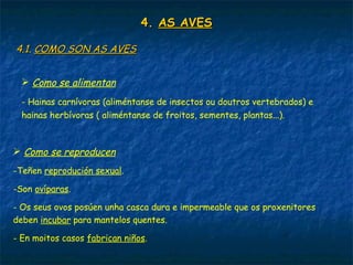 4.4. AS AVESAS AVES
4.1.4.1. COMO SON AS AVESCOMO SON AS AVES
 Como se alimentan
- Hainas carnívoras (aliméntanse de insectos ou doutros vertebrados) e
hainas herbívoras ( aliméntanse de froitos, sementes, plantas...).
 Como se reproducen
-Teñen reprodución sexual.
-Son ovíparas.
- Os seus ovos posúen unha casca dura e impermeable que os proxenitores
deben incubar para mantelos quentes.
- En moitos casos fabrican niños.
 