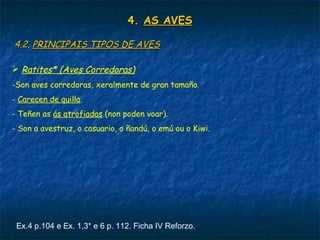 Ex.4 p.104 e Ex. 1,3* e 6 p. 112. Ficha IV Reforzo.
4.4. AS AVESAS AVES
4.2.4.2. PRINCIPAIS TIPOS DE AVESPRINCIPAIS TIPOS DE AVES
 Ratites* (Aves Corredoras)
-Son aves corredoras, xeralmente de gran tamaño.
- Carecen de quilla.
- Teñen as ás atrofiadas (non poden voar).
- Son a avestruz, o casuario, o ñandú, o emú ou o Kiwi.
 