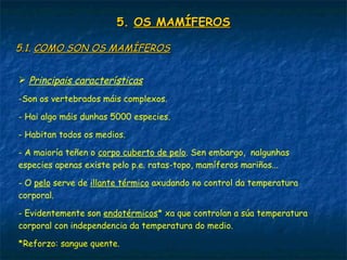 5.5. OS MAMÍFEROSOS MAMÍFEROS
5.1.5.1. COMO SON OS MAMÍFEROSCOMO SON OS MAMÍFEROS
 Principais características
-Son os vertebrados máis complexos.
- Hai algo máis dunhas 5000 especies.
- Habitan todos os medios.
- A maioría teñen o corpo cuberto de pelo. Sen embargo, nalgunhas
especies apenas existe pelo p.e. ratas-topo, mamíferos mariños...
- O pelo serve de illante térmico axudando no control da temperatura
corporal.
- Evidentemente son endotérmicos* xa que controlan a súa temperatura
corporal con independencia da temperatura do medio.
*Reforzo: sangue quente.
 
