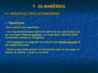 5.5. OS MAMÍFEROSOS MAMÍFEROS
5.2.5.2. PRINCIPAIS TIPOS DE MAMÍFEROSPRINCIPAIS TIPOS DE MAMÍFEROS
 Placentarios:
-Son a maioría dos mamíferos.
- As crías desenvólvense dentro do ventre da nai conectadas a ela
por un órgano chamado placenta ( a través dela o embrión obtén
nutrientes e elimina os refugallos).
- Son vivíparos e as crías saen ao exterior nun estado avanzado do
seu desenvolvemento.
- Neste grupo están animais tan diferentes como os morcegos, as
baleas, os cabalos, o home ou os ratos.
 