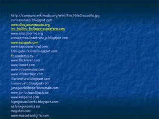 http://commons.wikimedia.org/wiki/File:NileCrocodile.jpg
curiosoanimal.blogspot.com  
www.dibujosanimados.org
irc_ho3irc_ho3www.ecoosfera.com
www.educabarrie.org
ennuestraauladetrabajo.blogspot.com  
www.escapula.com
www.espacionatural.com  
fahi-gabi-felinos.blogspot.com
fr.academic.ru
www.flickriver.com
www.ikonet.com
www.infoanimales.com
www.infotortuga.com  
illoranatural.blogspot.com
irene-costa.blogspot.com
janegoodallhopeforanimals.com  
www.juntadeandalucia.es
www.kalipedia.com  
lcgmjesusalberto.blogspot.com
es.lynxgenomics.eu
magufos.com
www.mascotasdigital.com
 
