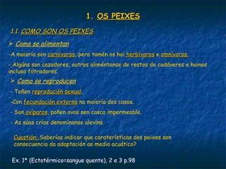1.1. OS PEIXESOS PEIXES
1.1.1.1. COMO SON OS PEIXESCOMO SON OS PEIXES
 Como se alimentan
-A maioría son carnívoroscarnívoros, pero tamén os hai herbívorosherbívoros e omnívoros.omnívoros.
- Algúns son cazadores, outros aliméntanse de restos de cadáveres e hainos
incluso filtradores.
 Como se reproducen
- Teñen reprodución sexualreprodución sexual.
-Con fecundación externafecundación externa na maioría dos casos.
- Son ovíparosovíparos, poñen ovos sen casca impermeable.
- As súas crías denomínanse alevíns.
Ex. 1* (Ectotérmico=sangue quente), 2 e 3 p.98
Cuestión:Cuestión: Saberías indicar que caraterísticas dos peixes son
consecuencia da adaptación ao medio acuático?
 
