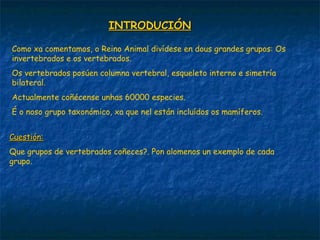 INTRODUCIÓNINTRODUCIÓN
Como xa comentamos, o Reino Animal divídese en dous grandes grupos: Os
invertebrados e os vertebrados.
Os vertebrados posúen columna vertebral, esqueleto interno e simetría
bilateral.
Actualmente coñécense unhas 60000 especies.
É o noso grupo taxonómico, xa que nel están incluídos os mamíferos.
Cuestión:Cuestión:
Que grupos de vertebrados coñeces?. Pon alomenos un exemplo de cada
grupo.
 
