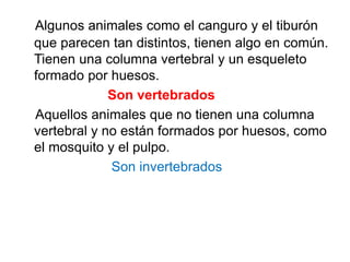Algunos animales como el canguro y el tiburón
que parecen tan distintos, tienen algo en común.
Tienen una columna vertebral y un esqueleto
formado por huesos.
Son vertebrados
Aquellos animales que no tienen una columna
vertebral y no están formados por huesos, como
el mosquito y el pulpo.
Son invertebrados
 
