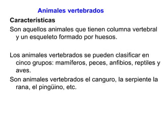 Animales vertebrados
Características
Son aquellos animales que tienen columna vertebral
y un esqueleto formado por huesos.
Los animales vertebrados se pueden clasificar en
cinco grupos: mamíferos, peces, anfibios, reptiles y
aves.
Son animales vertebrados el canguro, la serpiente la
rana, el pingüino, etc.
 