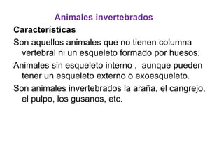 Animales invertebrados
Características
Son aquellos animales que no tienen columna
vertebral ni un esqueleto formado por huesos.
Animales sin esqueleto interno , aunque pueden
tener un esqueleto externo o exoesqueleto.
Son animales invertebrados la araña, el cangrejo,
el pulpo, los gusanos, etc.
 