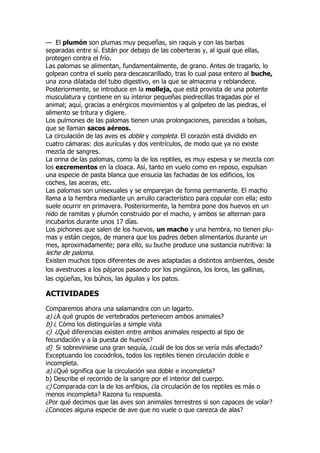 — El plumón son plumas muy pequeñas, sin raquis y con las barbas
separadas entre sí. Están por debajo de las coberteras y, al igual que ellas,
protegen contra el frío.
Las palomas se alimentan, fundamentalmente, de grano. Antes de tragarlo, lo
golpean contra el suelo para descascarillado, tras lo cual pasa entero al buche,
una zona dilatada del tubo digestivo, en la que se almacena y reblandece.
Posteriormente, se introduce en la molleja, que está provista de una potente
musculatura y contiene en su interior pequeñas piedrecillas tragadas por el
animal; aquí, gracias a enérgicos movimientos y al golpeteo de las piedras, el
alimento se tritura y digiere.
Los pulmones de las palomas tienen unas prolongaciones, parecidas a bolsas,
que se llaman sacos aéreos.
La circulación de las aves es doble y completa. El corazón está dividido en
cuatro cámaras: dos aurículas y dos ventrículos, de modo que ya no existe
mezcla de sangres.
La orina de las palomas, como la de los reptiles, es muy espesa y se mezcla con
los excrementos en la cloaca. Así, tanto en vuelo como en reposo, expulsan
una especie de pasta blanca que ensucia las fachadas de los edificios, los
coches, las aceras, etc.
Las palomas son unisexuales y se emparejan de forma permanente. El macho
llama a la hembra mediante un arrullo característico para copular con ella; esto
suele ocurrir en primavera. Posteriormente, la hembra pone dos huevos en un
nido de ramitas y plumón construido por el macho, y ambos se alternan para
incubarlos durante unos 17 días.
Los pichones que salen de los huevos, un macho y una hembra, no tienen plu-
mas y están ciegos, de manera que los padres deben alimentarlos durante un
mes, aproximadamente; para ello, su buche produce una sustancia nutritiva: la
leche de paloma.
Existen muchos tipos diferentes de aves adaptadas a distintos ambientes, desde
los avestruces a los pájaros pasando por los pingüinos, los loros, las gallinas,
las cigüeñas, los búhos, las águilas y los patos.
ACTIVIDADES
Comparemos ahora una salamandra con un lagarto.
a) ¿A qué grupos de vertebrados pertenecen ambos animales?
b) ¿ Cómo los distinguirías a simple vista
c) ¿Qué diferencias existen entre ambos animales respecto al tipo de
fecundación y a la puesta de huevos?
d) Si sobreviniese una gran sequía, ¿cuál de los dos se vería más afectado?
Exceptuando los cocodrilos, todos los reptiles tienen circulación doble e
incompleta.
a) ¿Qué significa que la circulación sea doble e incompleta?
b) Describe el recorrido de la sangre por el interior del cuerpo.
c) Comparada con la de los anfibios, ¿la circulación de los reptiles es más o
menos incompleta? Razona tu respuesta.
¿Por qué decimos que las aves son animales terrestres si son capaces de volar?
¿Conoces alguna especie de ave que no vuele o que carezca de alas?
 