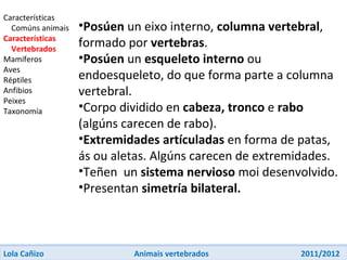 Animais Vertebrados | PPT