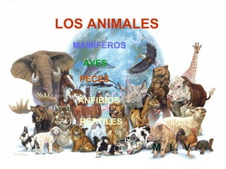 LOS ANIMALES
MAMÍFEROS
AVES
PECES
ANFIBIOS
REPTILES
M. L. V.
 