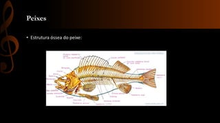 Peixes
• Estrutura óssea do peixe:
 